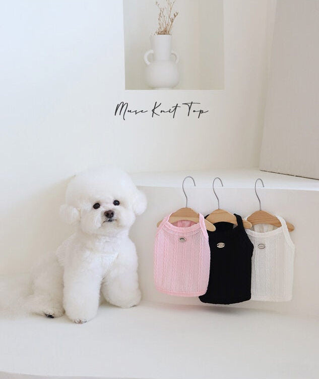 Muse Knit Top