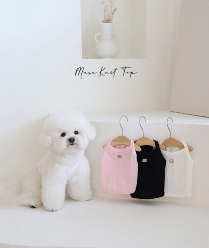 Muse Knit Top