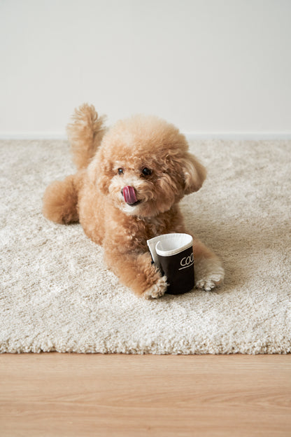 Paper Cup Toy