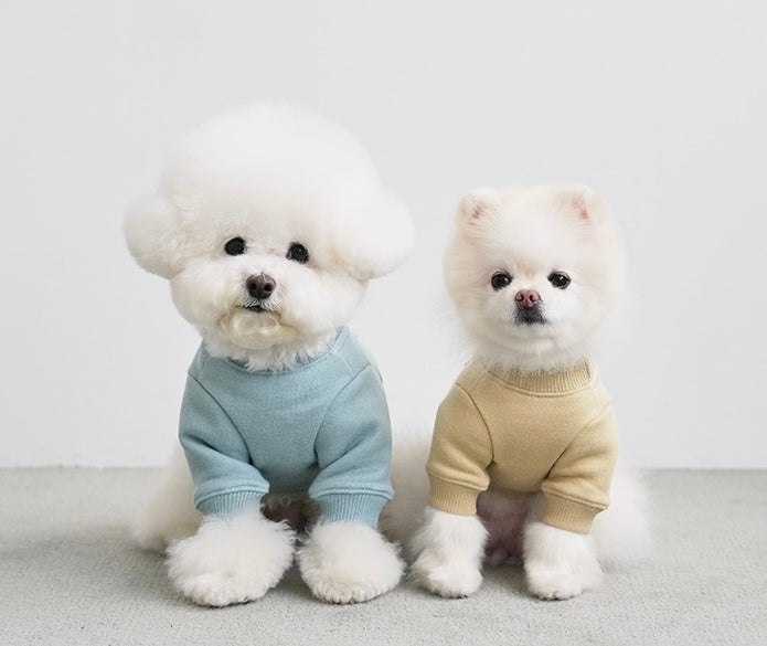 Noutti Hoodie