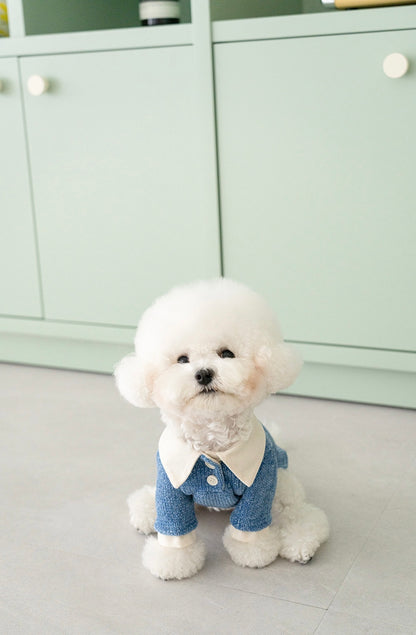 Twinkle Shirt Collar Knit