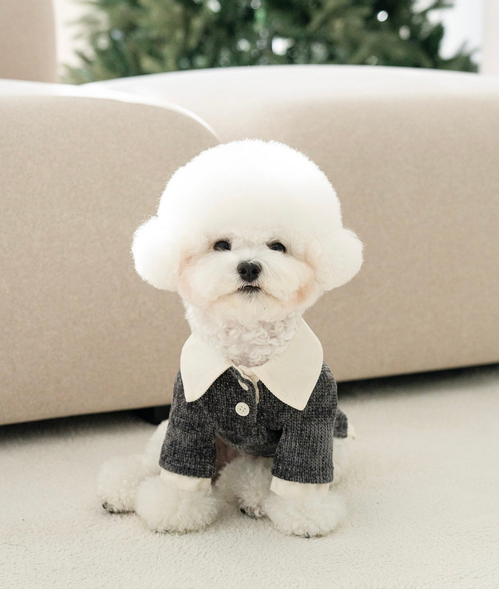 Twinkle Shirt Collar Knit