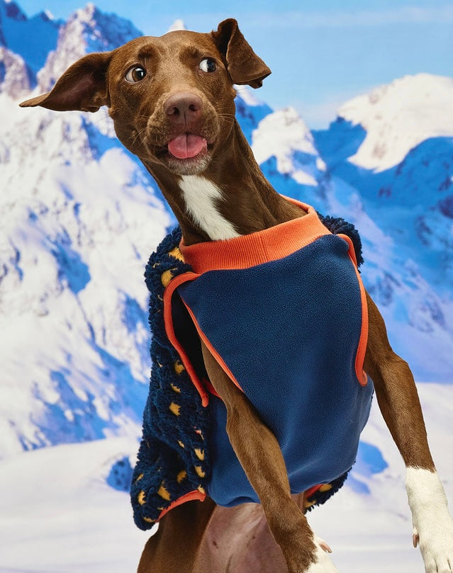 Trum Fleece