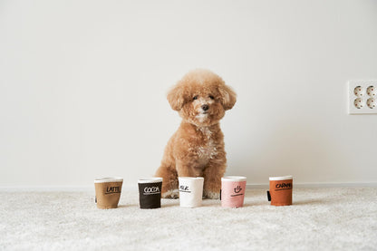 Paper Cup Toy